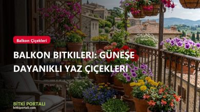Balkon Bitkileri: Güneşe Dayanıklı Yaz Çiçekleri branded batch6 balkon