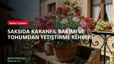 branded karanfil