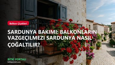 branded sardunya