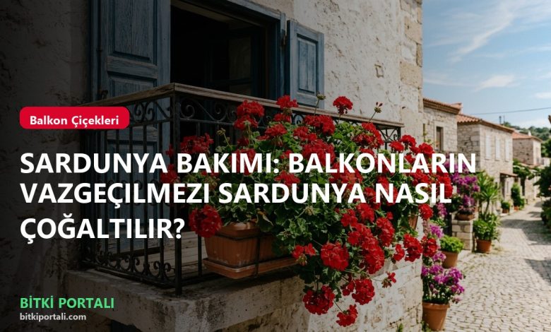 branded sardunya