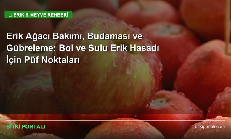 erik agaci bakimi rehberi