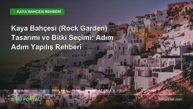 kaya bahcesi tasarimi rehberi