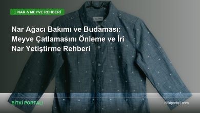 nar agaci bakimi rehberi