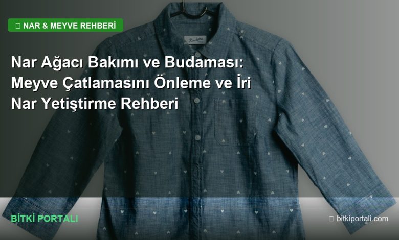 nar agaci bakimi rehberi